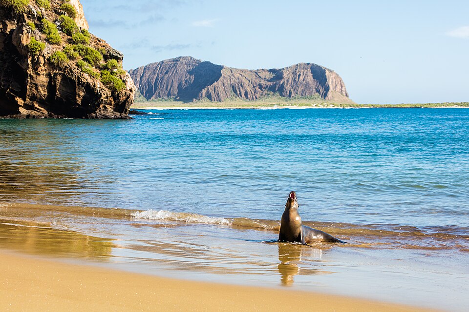 Galápagos Islands destination