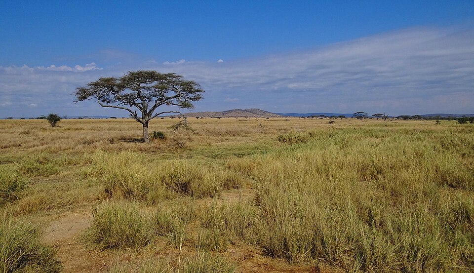 Nairobi destination